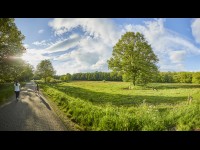 Natuur van Winterswijk